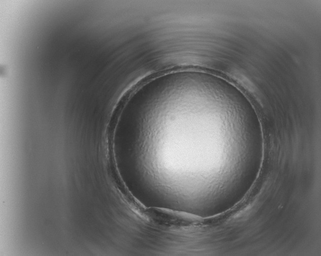 X0000072940782200607282202