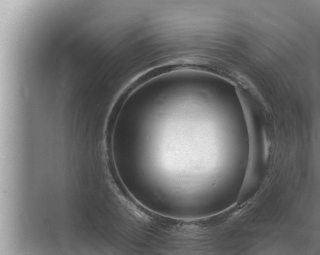 X0000072940784200607282202