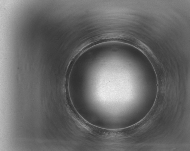 X0000072940786200607282202