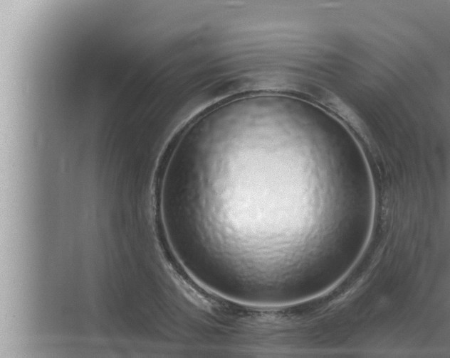 X0000072940787200607282202