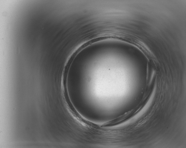 X0000072940788200607282202