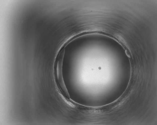 X0000072940789200607282202