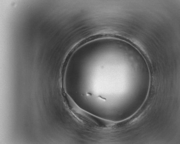 X0000072940791200607282202