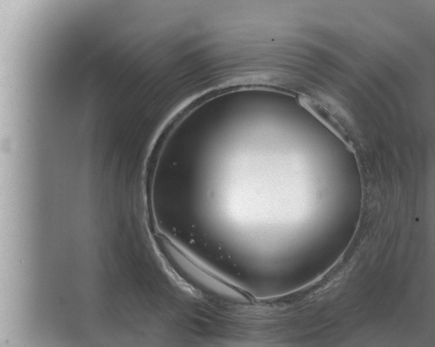 X0000072940792200607282202