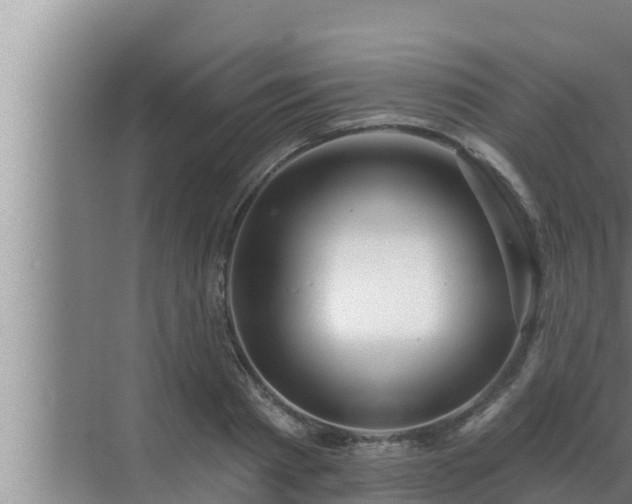 X0000072940793200607282202