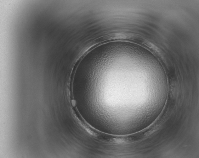 X0000072940794200607282202