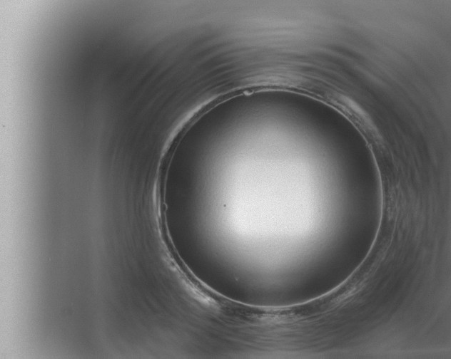 X0000072940796200607282202