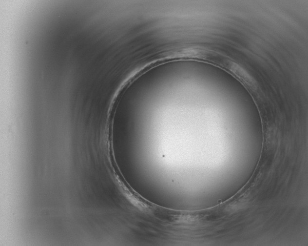 X0000072940800200607282202