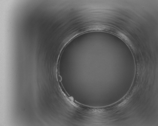 X0000072940802200607282202