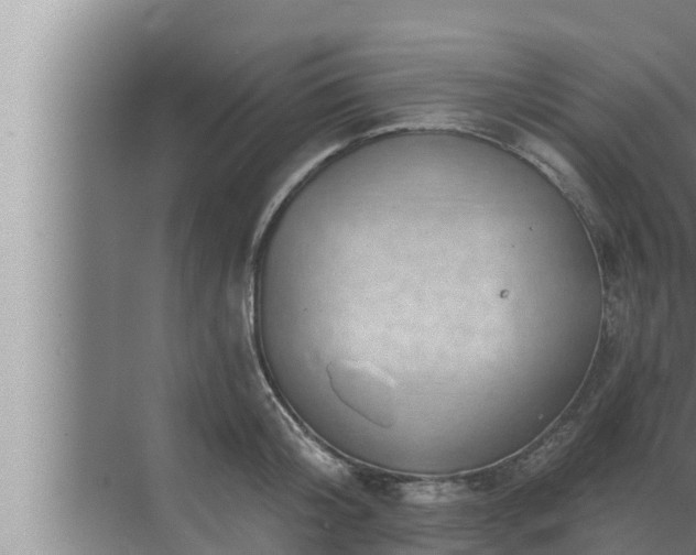 X0000072940804200607282202