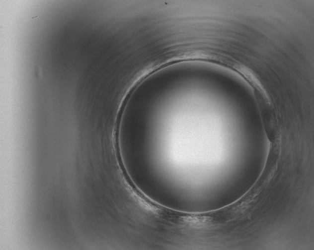 X0000072940805200607282202