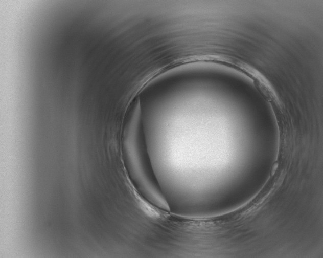 X0000072940809200607282202