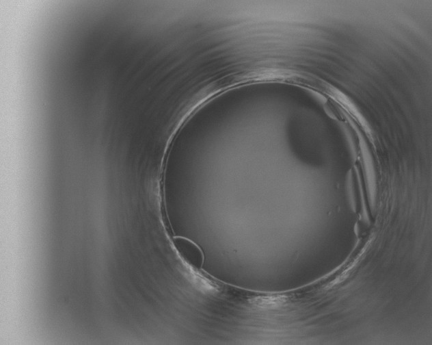 X0000072940810200607282202