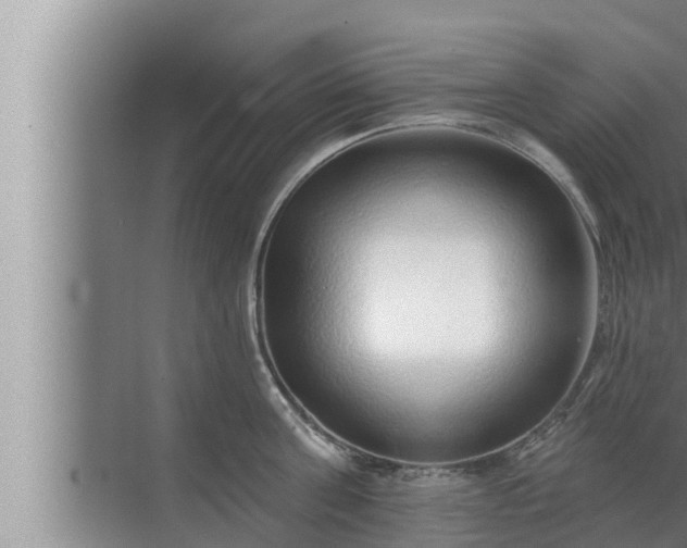 X0000072940811200607282202