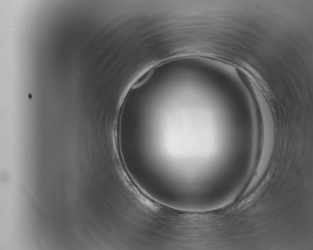 X0000072940812200607282202