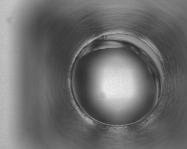 X0000072940813200607282202