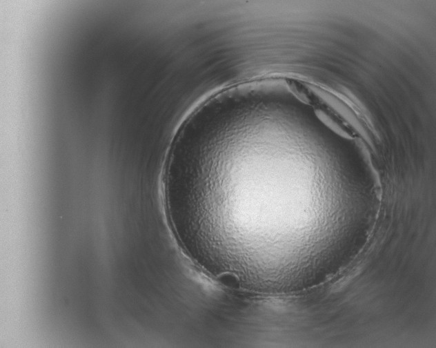 X0000072940814200607282202