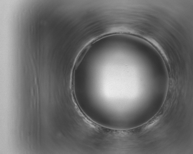 X0000072940815200607282201