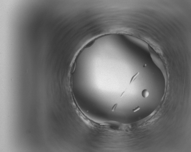 X0000072940816200607282201