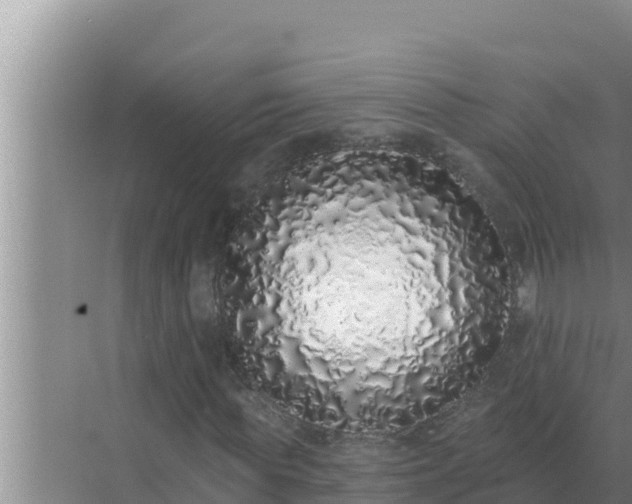 X0000072940819200607282201