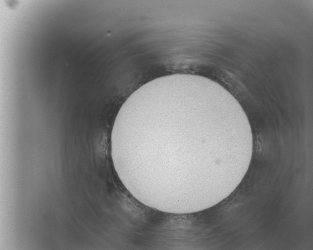 X0000072940820200607282201