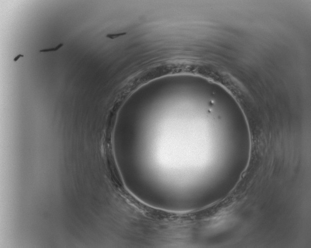 X0000072940821200607282201