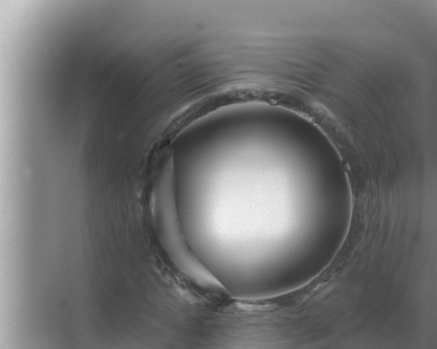 X0000072940822200607282201