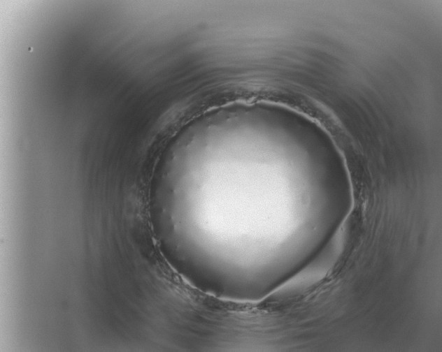 X0000072940823200607282201