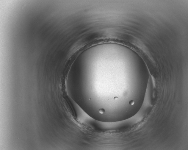 X0000072940826200607282201