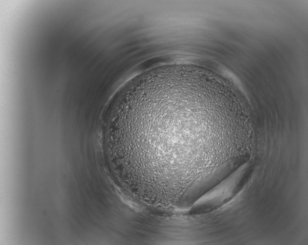 X0000072940827200607282201