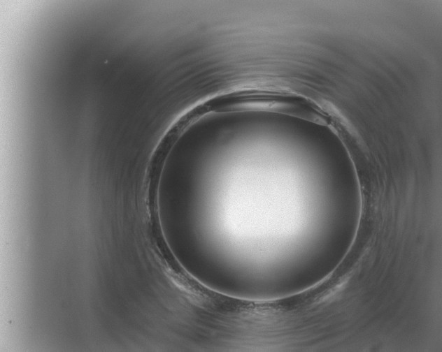 X0000072940830200607282201