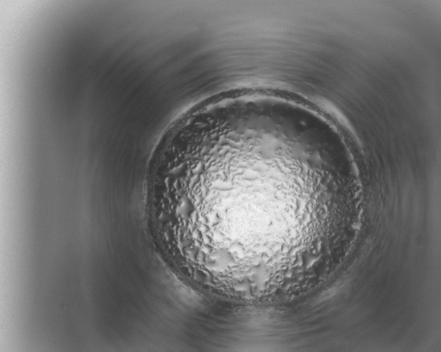 X0000072940831200607282201