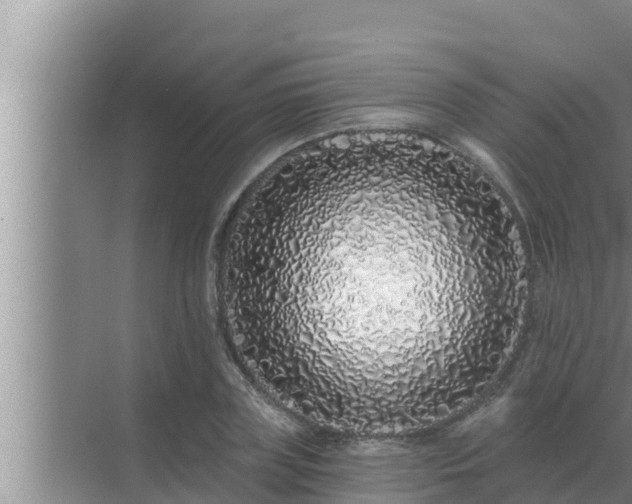 X0000072940835200607282201