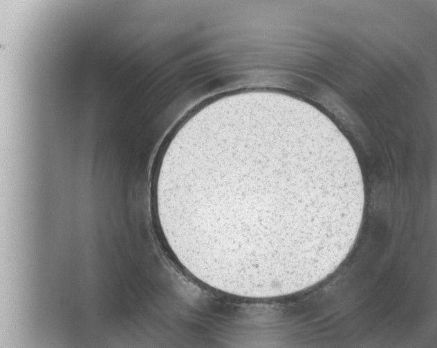 X0000072940836200607282201