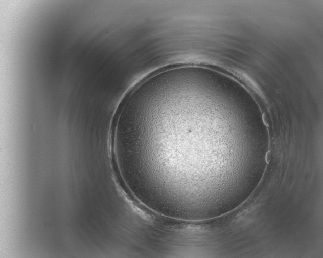 X0000072940839200607282201