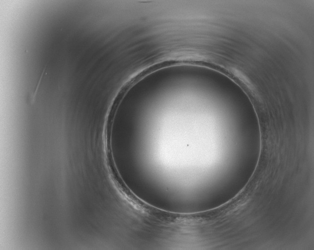 X0000072940840200607282201