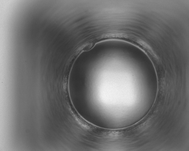 X0000072940841200607282201