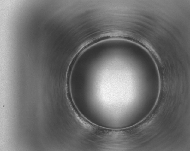 X0000072940845200607282201