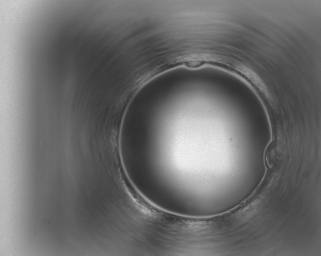 X0000072940849200607282201