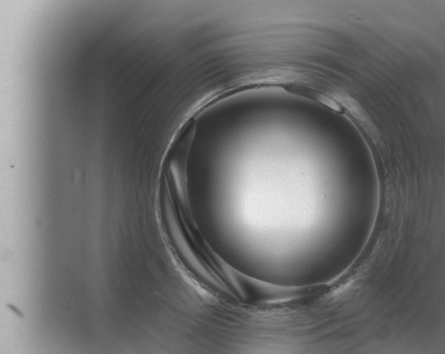 X0000072940850200607282201