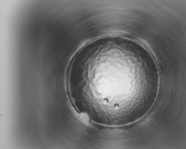 X0000072940851200607282201