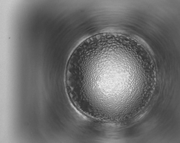 X0000072940855200607282201