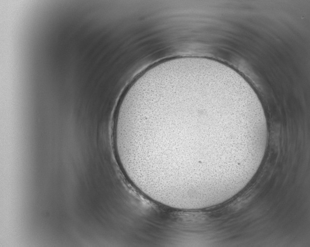 X0000072940856200607282201