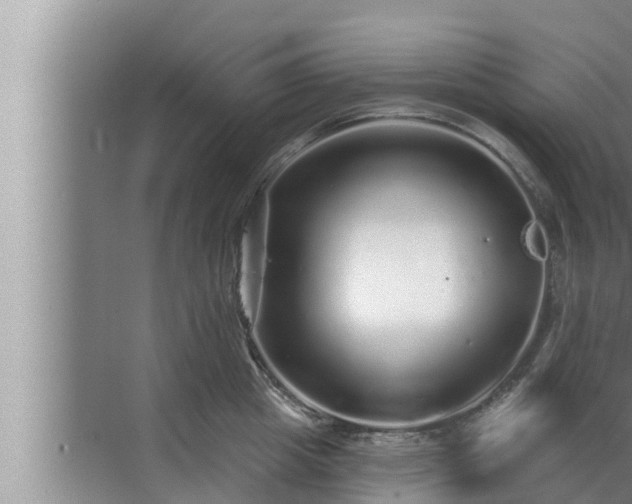 X0000072940857200607282201