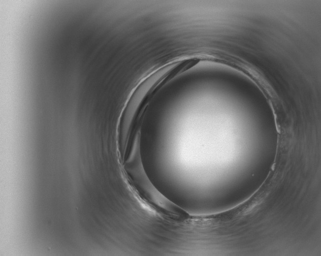 X0000072940858200607282201