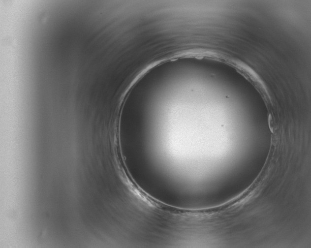 X0000072940860200607282201