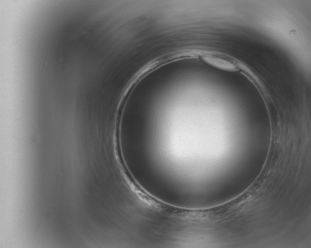 X0000072940861200607282201