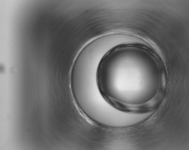 X0000072940862200607282201