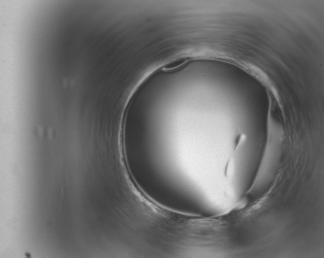 X0000072940863200607282201