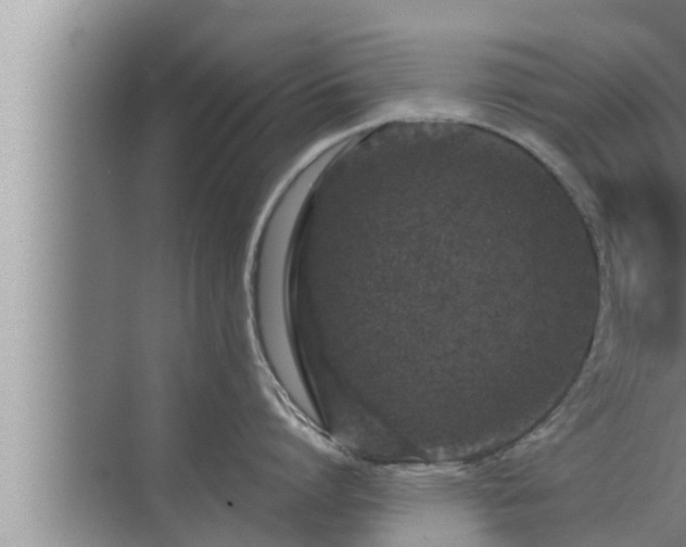 X0000072940864200607282201